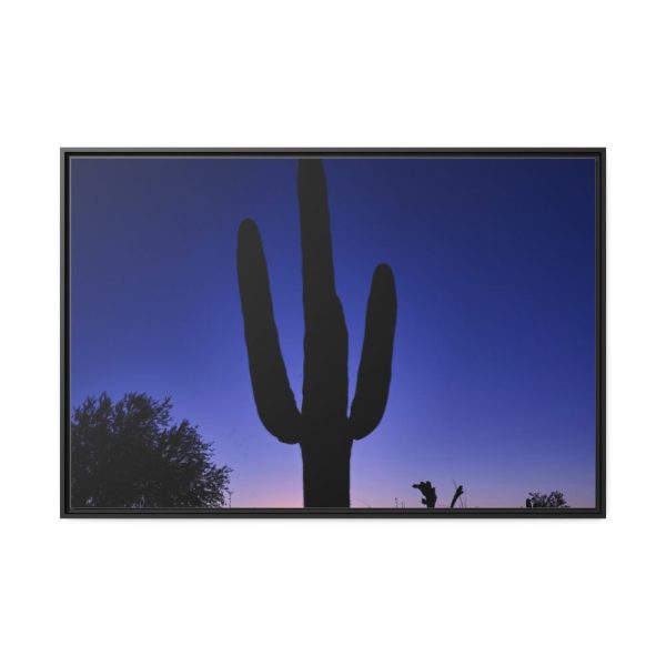 88289-886.jpg Saguaro Cactus Dominates in the Garden of the White Stallion Ranch Framed Canvas