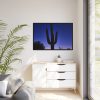 88289-888.jpg Saguaro Cactus Dominates in the Garden of the White Stallion Ranch Framed Canvas
