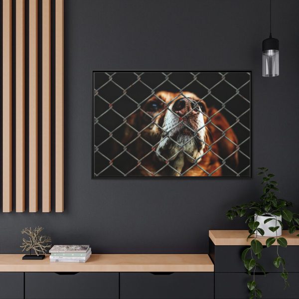 88289-9.jpg Dog Behind Wire Fence Framed Canvas