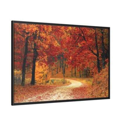 Red Season in the Woods Framed Canvas