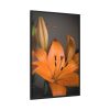 Orange Lily Framed Canvas