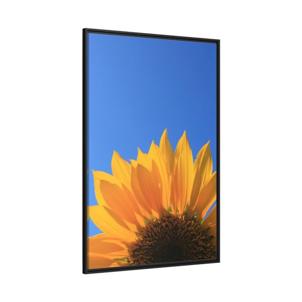 88299-100.jpg Sunflower Blue Sky Framed Canvas