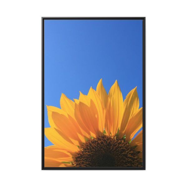 88299-101.jpg Sunflower Blue Sky Framed Canvas