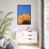 88299-103.jpg Sunflower Blue Sky Framed Canvas