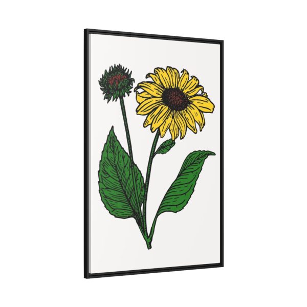 88299-105.jpg Sunflower Illustration Framed Canvas