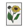 88299-106.jpg Sunflower Illustration Framed Canvas