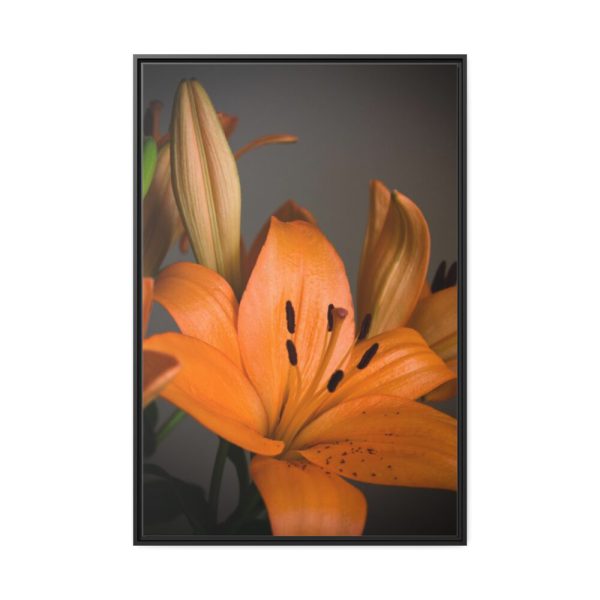 Orange Lily Framed Canvas
