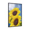 88299-110.jpg Sunflower Flower Air Clouds Framed Canvas