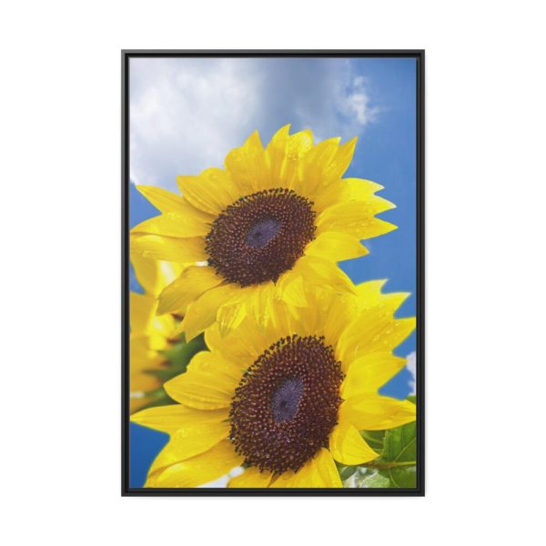 88299-111.jpg Sunflower Flower Air Clouds Framed Canvas