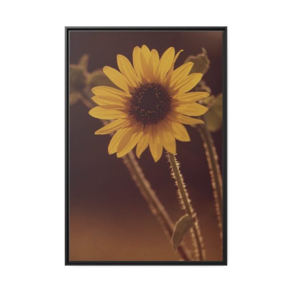88299-121.jpg The Sunflower is Blooming Framed Canvas