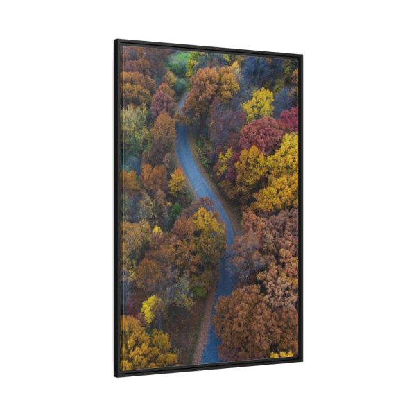 88299-135.jpg Forest in Autumn Colors Framed Canvas