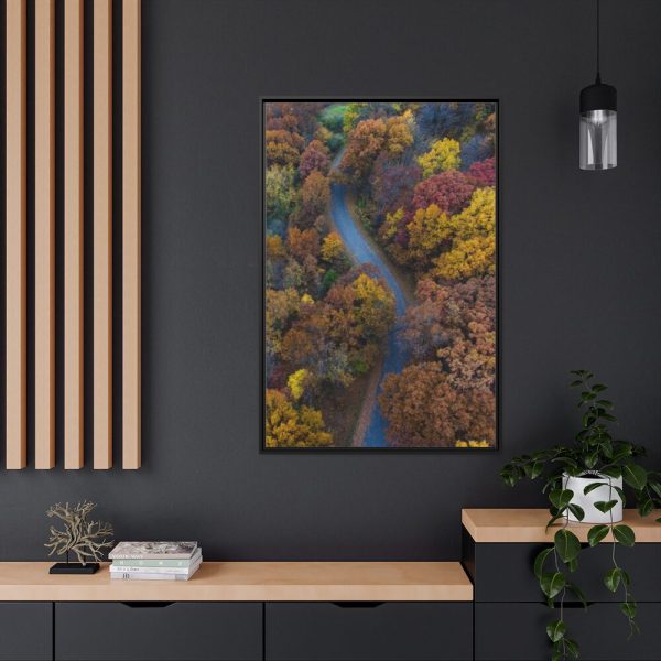 88299-139.jpg Forest in Autumn Colors Framed Canvas
