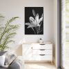 Lilies Flower  Framed Canvas