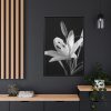 Lilies Flower  Framed Canvas