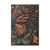 88299-31.jpg Digital Art Butterfly Artwork Framed Canvas