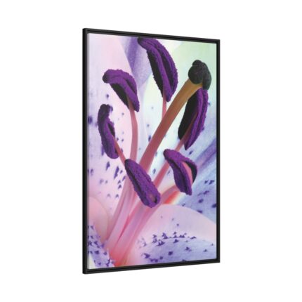 Beautiful Lily Framed Canvas