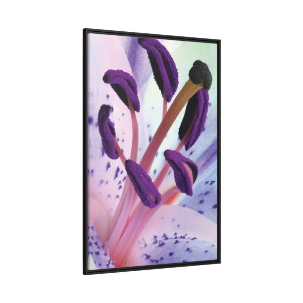 Beautiful Lily Framed Canvas