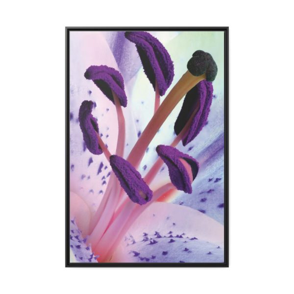 Beautiful Lily Framed Canvas