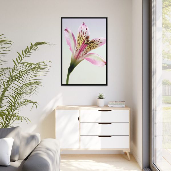 Pink Lily  Framed Canvas