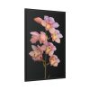 88299-50.jpg Pink Boat Orchid Framed Canvas