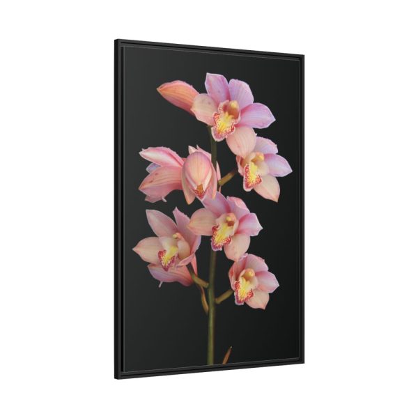 88299-50.jpg Pink Boat Orchid Framed Canvas