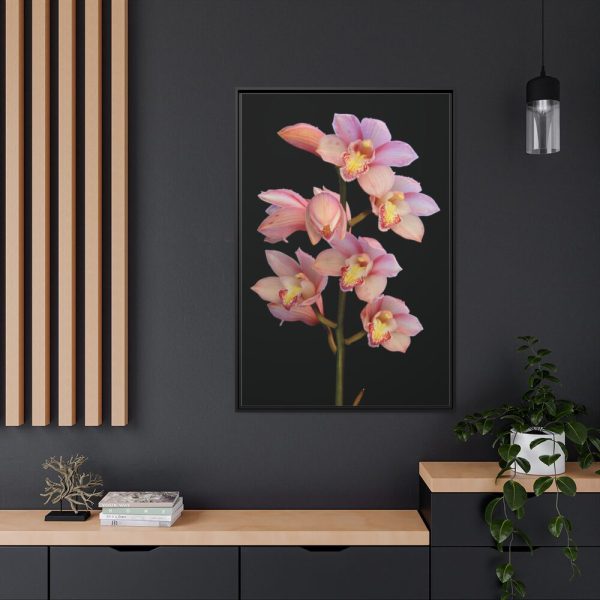 88299-54.jpg Pink Boat Orchid Framed Canvas