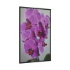 Exotic Orchid   Framed Canvas