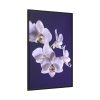 88299-65.jpg Blue Orchid Framed Canvas
