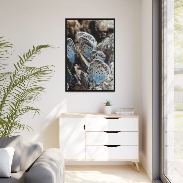 88299-73.jpg Blue Butterflies Framed Canvas