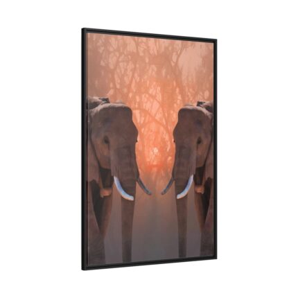 Two Elephants in the Zoo Framed Canvas