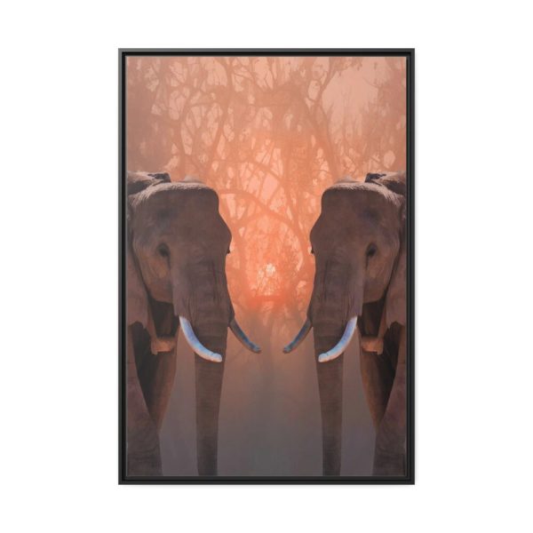 Two Elephants in the Zoo Framed Canvas