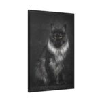 Black Silver Maine Coon Cat Sitting Framed Canvas