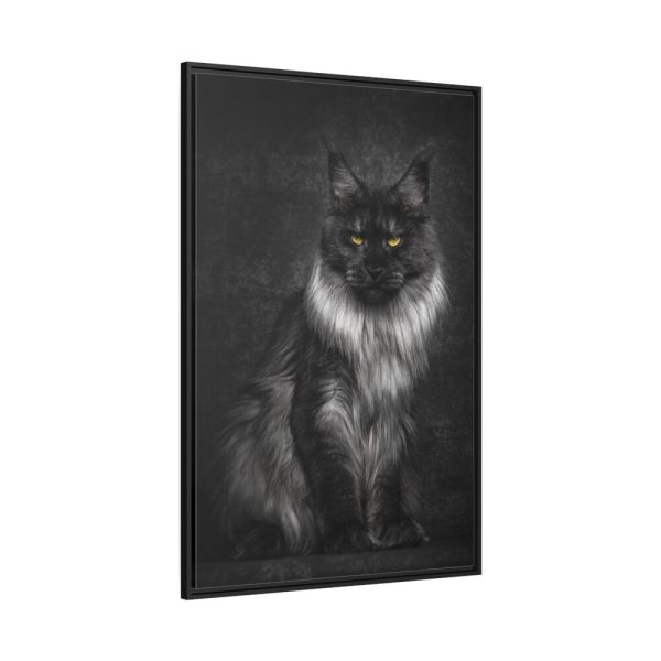 88299-95.jpg Black Silver Maine Coon Cat Sitting Framed Canvas