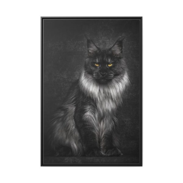 88299-96.jpg Black Silver Maine Coon Cat Sitting Framed Canvas
