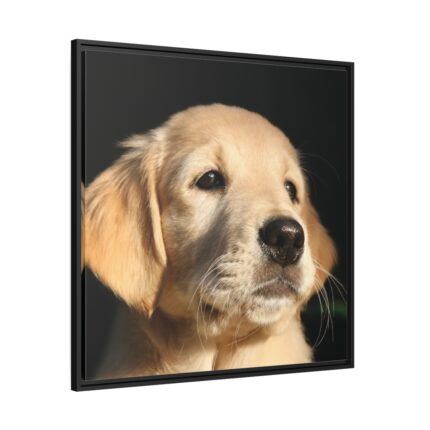 Little Golden Retriever Framed Canvas