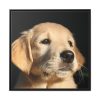88302-11.jpg Little Golden Retriever Framed Canvas