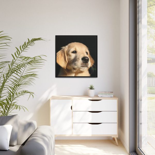 88302-13.jpg Little Golden Retriever Framed Canvas