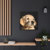 88302-14.jpg Little Golden Retriever Framed Canvas