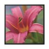 Blooming Flower Pink Framed Canvas