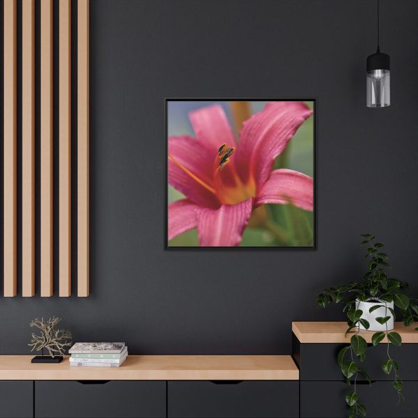 Blooming Flower Pink Framed Canvas