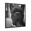 88302-20.jpg French Bulldog Framed Canvas