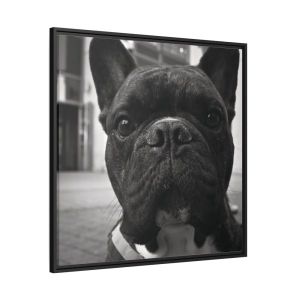 88302-20.jpg French Bulldog Framed Canvas
