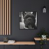 88302-24.jpg French Bulldog Framed Canvas