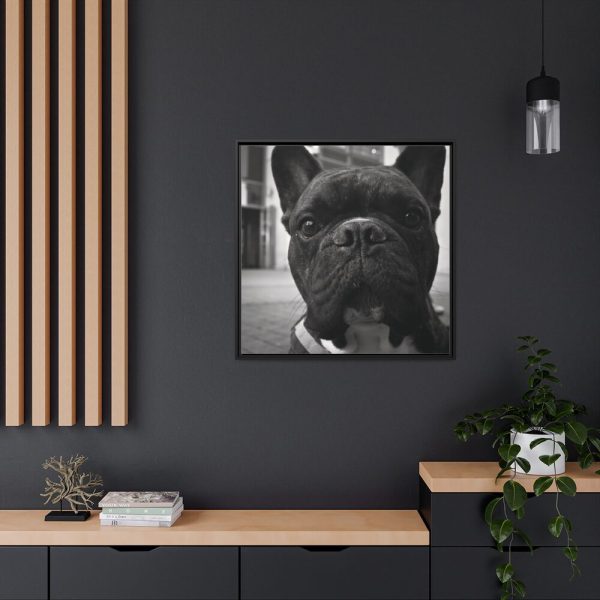 88302-24.jpg French Bulldog Framed Canvas