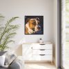 Head of the American Stafford Framed Canvas
