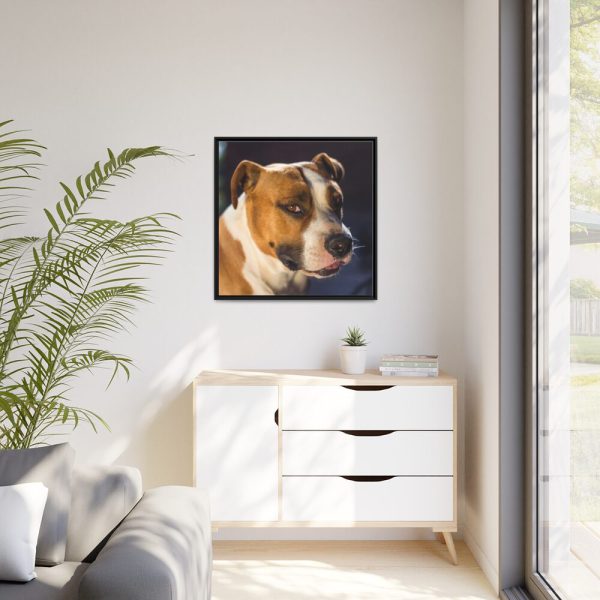 Head of the American Stafford Framed Canvas