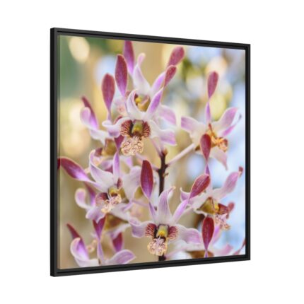 Boat Orchid Framed Canvas