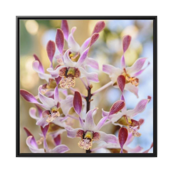 88302-36.jpg Boat Orchid Framed Canvas