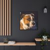 Head of the American Stafford Framed Canvas