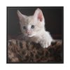 Kitten with Blue Eyes Framed Canvas